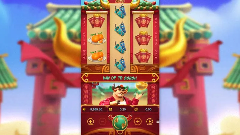 Cómo se establece la apuesta en Fortune OX