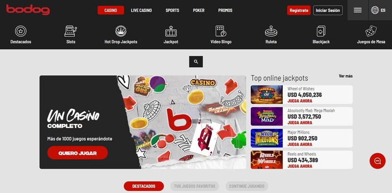 Bodog Casino online